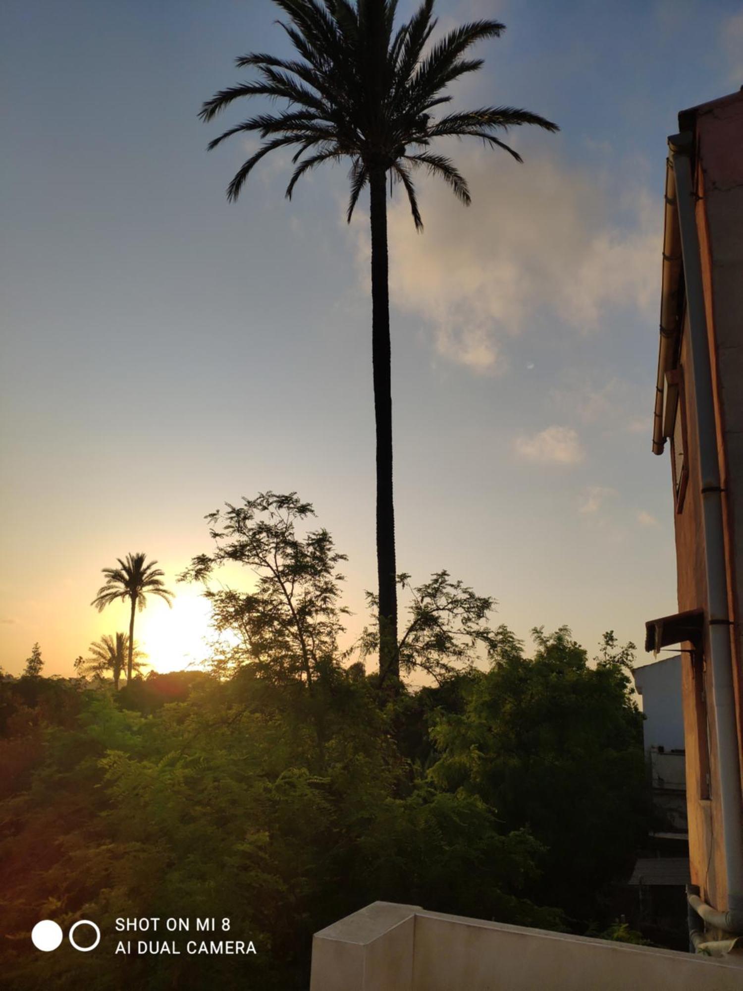 Apartamento En Alicante La Casa Azul Santa Faz Dış mekan fotoğraf
